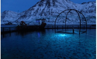 Aquatic LED lighting to optimize growth results and reduce sea lice treatment